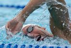 fina2005_019.jpg