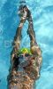 fina2005_048.jpg