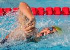 fina2005_063.jpg