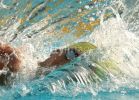fina2005_068.jpg