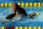 fina2005_076.jpg