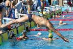 fina2005_079.jpg