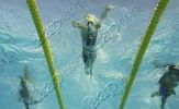 fina2005_100.jpg
