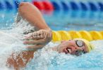 fina2005_117.jpg