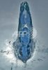 fina2005_126.jpg