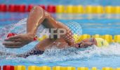 fina2005_183.jpg