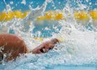 fina2005_193.jpg