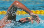 fina2005_216.jpg