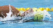 fina2005_231.jpg