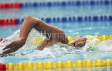 fina2005_241.jpg