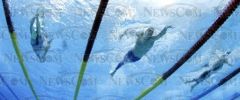 fina2005_249.jpg