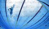 fina2005_250.jpg
