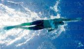 fina2005_261.jpg
