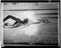swim.JPG